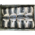 BQF/IQF Frozen Mackerel Flaps With EU Standard